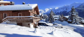La villa du Danay - chalet familial 9 places